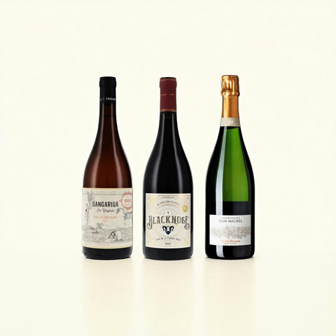 Wein-Set „Gemischtes Trio“ - Burghardt Delicious